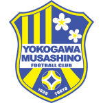Home Team Logo