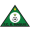 Bravos do Maquis